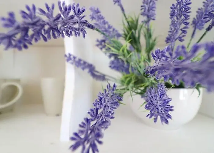 Mediterranean House - Two Bedroom With Terrace And Sea View Daire *